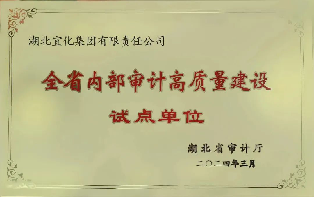 宜化集團獲評全省內部審計高質量建設試點單位(圖2)